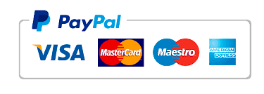 PayPal accept payments